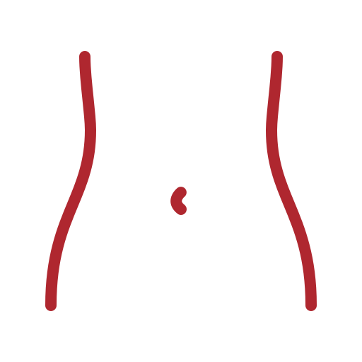 Nuestros equipos pueden utilizarlos los especialistas médicos para realizar estudios abdominales