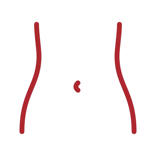 Nuestros equipos pueden utilizarlos los especialistas médicos para realizar estudios abdominales