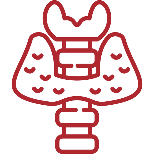 Nuestros densitómetros proporcionan resultados para estudios de endocrinología