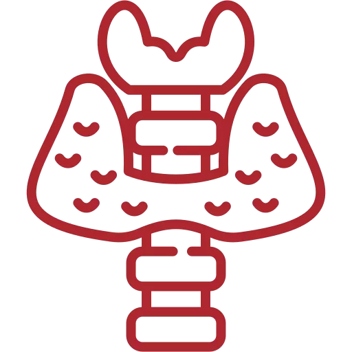 Nuestros densitómetros proporcionan resultados para estudios de endocrinología