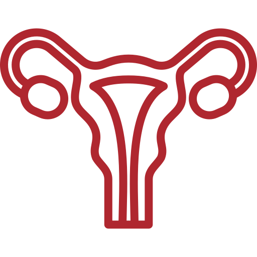 Nuestros colposcopios ayudan con la evaluación del cuello uterino.