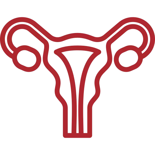 Nuestros colposcopios ayudan con la evaluación del cuello uterino.