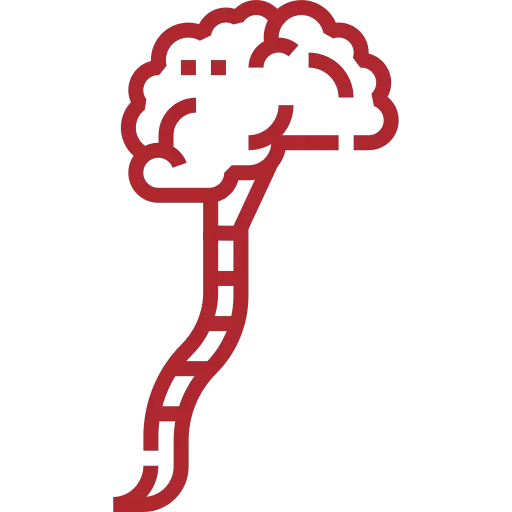 Nuestros equipos de resonancia magnética pueden analizar la columna y el cerebro de los pacientes.