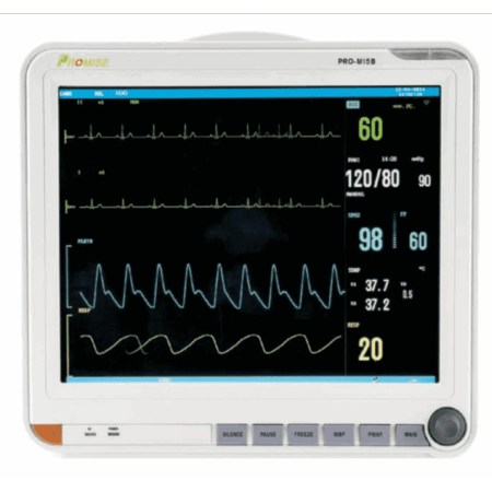 PROMISE PRO M15 (15 Pulgadas)