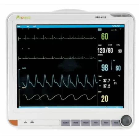 PROMISE PRO M15 (15 Pulgadas)
